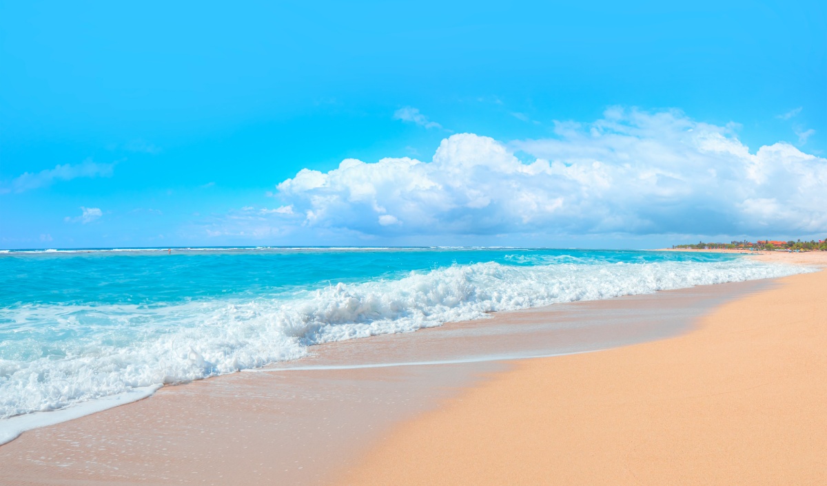 AdobeStock_362740997